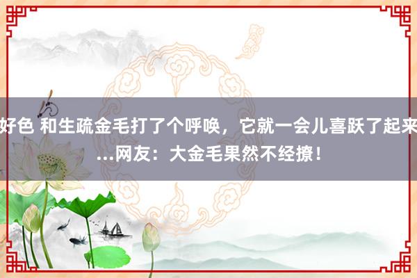 好色 和生疏金毛打了个呼唤，它就一会儿喜跃了起来...网友：大金毛果然不经撩！