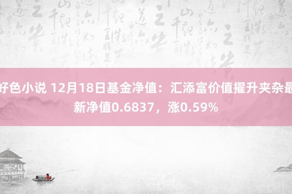 好色小说 12月18日基金净值：汇添富价值擢升夹杂最新净值0.6837，涨0.59%