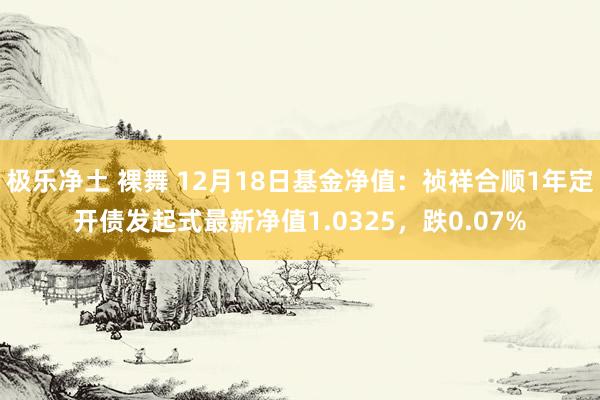 极乐净土 裸舞 12月18日基金净值：祯祥合顺1年定开债发起式最新净值1.0325，跌0.07%