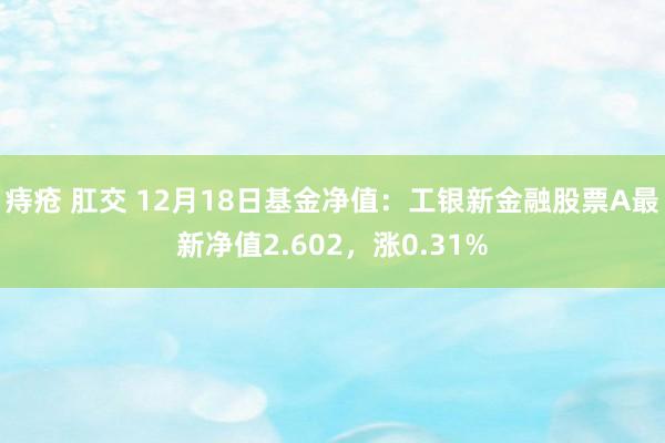 痔疮 肛交 12月18日基金净值：工银新金融股票A最新净值2.602，涨0.31%