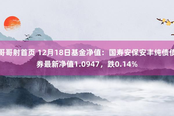 哥哥射首页 12月18日基金净值：国寿安保安丰纯债债券最新净值1.0947，跌0.14%