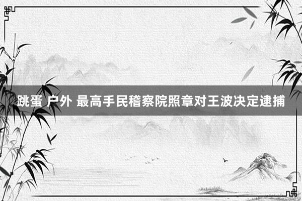 跳蛋 户外 最高手民稽察院照章对王波决定逮捕