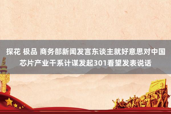 探花 极品 商务部新闻发言东谈主就好意思对中国芯片产业干系计谋发起301看望发表说话