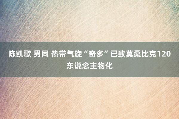 陈凯歌 男同 热带气旋“奇多”已致莫桑比克120东说念主物化