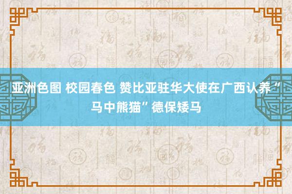 亚洲色图 校园春色 赞比亚驻华大使在广西认养“马中熊猫”德保矮马