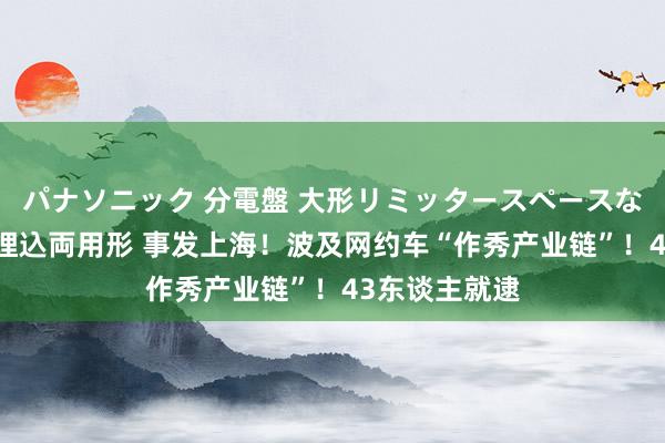 パナソニック 分電盤 大形リミッタースペースなし 露出・半埋込両用形 事发上海！波及网约车“作秀产业链”！43东谈主就逮