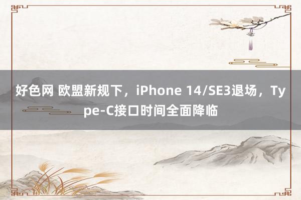 好色网 欧盟新规下，iPhone 14/SE3退场，Type-C接口时间全面降临