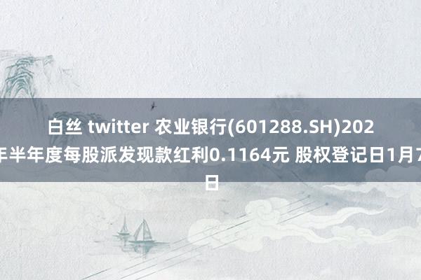 白丝 twitter 农业银行(601288.SH)2024年半年度每股派发现款红利0.1164元 股权登记日1月7日