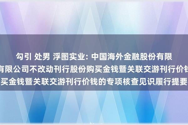 勾引 处男 浮图实业: 中国海外金融股份有限公司对于浮图实业股份有限公司不改动刊行股份购买金钱暨关联交游刊行价钱的专项核查见识履行提要