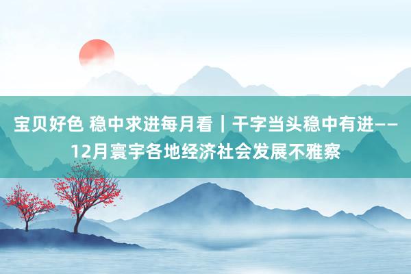 宝贝好色 稳中求进每月看｜干字当头稳中有进——12月寰宇各地经济社会发展不雅察