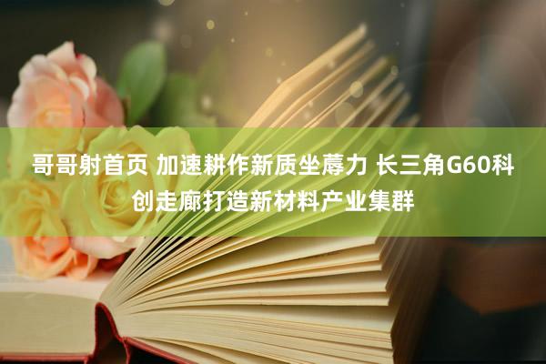 哥哥射首页 加速耕作新质坐蓐力 长三角G60科创走廊打造新材料产业集群