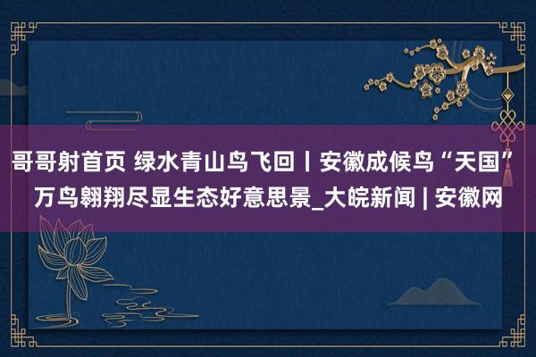 哥哥射首页 绿水青山鸟飞回丨安徽成候鸟“天国” 万鸟翱翔尽显生态好意思景_大皖新闻 | 安徽网