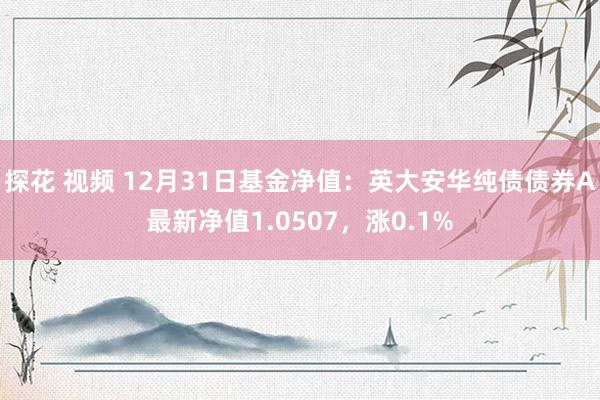 探花 视频 12月31日基金净值：英大安华纯债债券A最新净值1.0507，涨0.1%