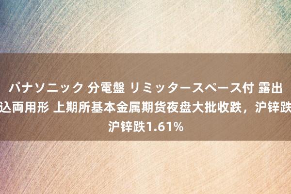 パナソニック 分電盤 リミッタースペース付 露出・半埋込両用形 上期所基本金属期货夜盘大批收跌，沪锌跌1.61%