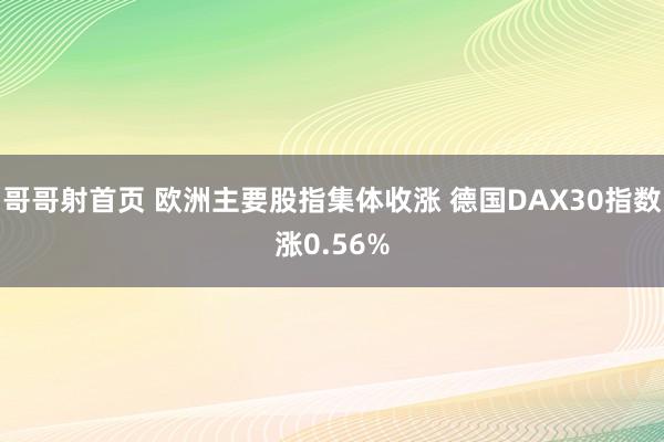 哥哥射首页 欧洲主要股指集体收涨 德国DAX30指数涨0.56%