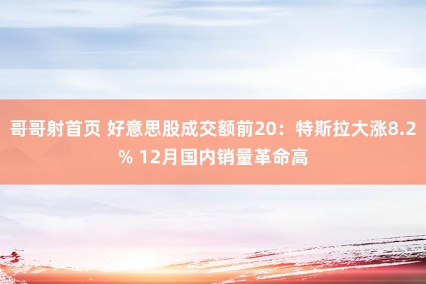 哥哥射首页 好意思股成交额前20：特斯拉大涨8.2% 12月国内销量革命高