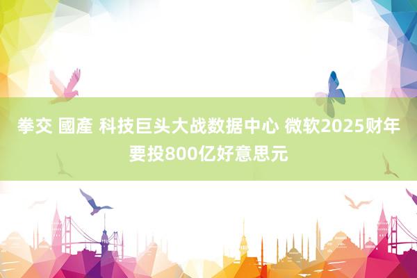 拳交 國產 科技巨头大战数据中心 微软2025财年要投800亿好意思元