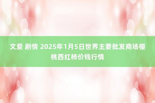 文爱 剧情 2025年1月5日世界主要批发商场樱桃西红柿价钱行情