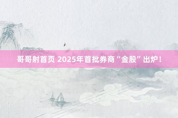 哥哥射首页 2025年首批券商“金股”出炉！