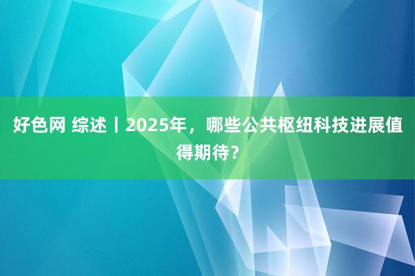 好色网 综述丨2025年，哪些公共枢纽科技进展值得期待？