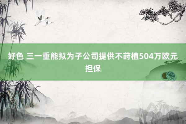 好色 三一重能拟为子公司提供不莳植504万欧元担保