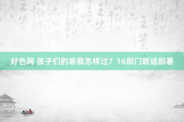 好色网 孩子们的寒假怎样过？16部门联结部署