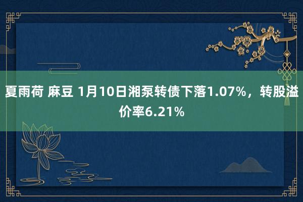 夏雨荷 麻豆 1月10日湘泵转债下落1.07%，转股溢价率6.21%