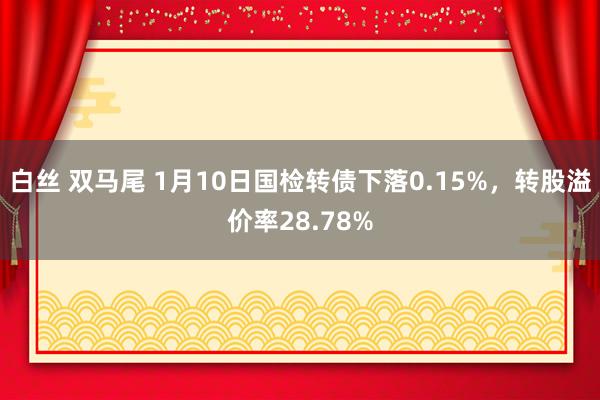 白丝 双马尾 1月10日国检转债下落0.15%，转股溢价率28.78%