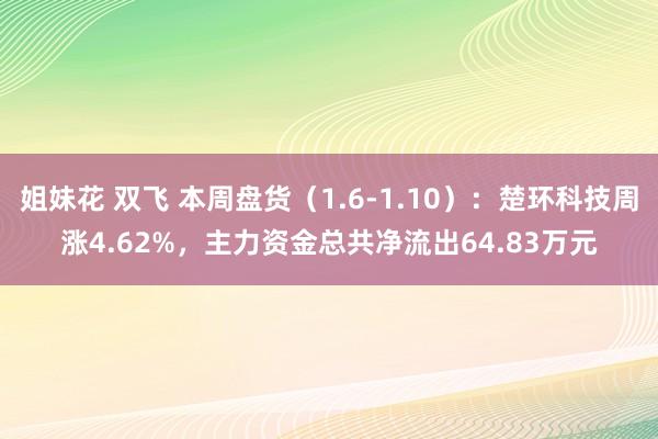 姐妹花 双飞 本周盘货（1.6-1.10）：楚环科技周涨4.62%，主力资金总共净流出64.83万元