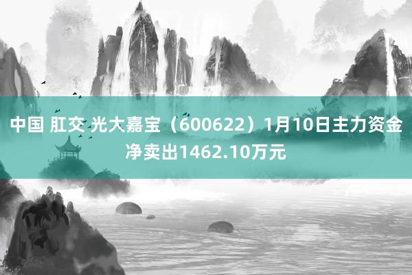 中国 肛交 光大嘉宝（600622）1月10日主力资金净卖出1462.10万元