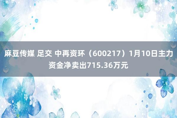 麻豆传媒 足交 中再资环（600217）1月10日主力资金净卖出715.36万元