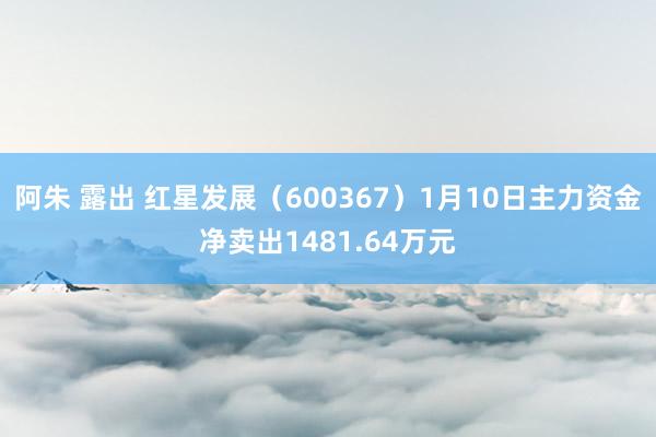 阿朱 露出 红星发展（600367）1月10日主力资金净卖出1481.64万元