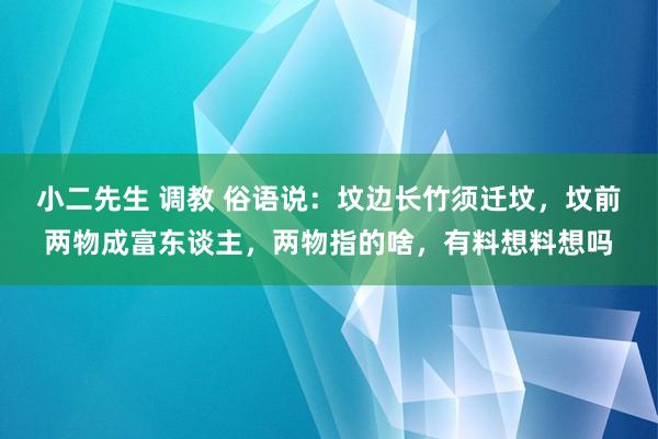 小二先生 调教 俗语说：坟边长竹须迁坟，坟前两物成富东谈主，两物指的啥，有料想料想吗