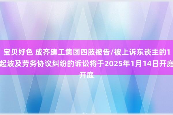 宝贝好色 成齐建工集团四肢被告/被上诉东谈主的1起波及劳务协议纠纷的诉讼将于2025年1月14日开庭