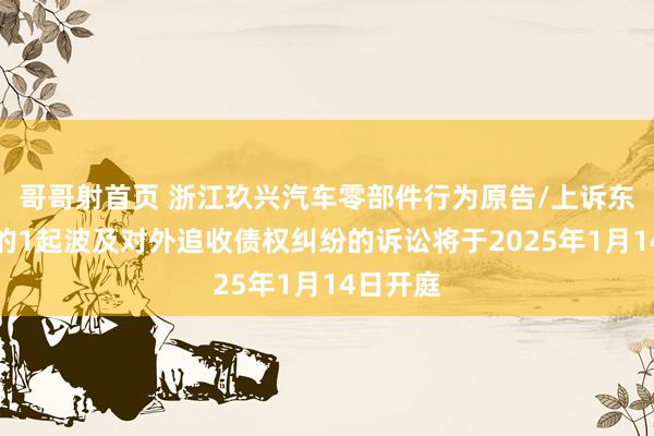 哥哥射首页 浙江玖兴汽车零部件行为原告/上诉东说念主的1起波及对外追收债权纠纷的诉讼将于2025年1月14日开庭