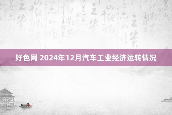 好色网 2024年12月汽车工业经济运转情况