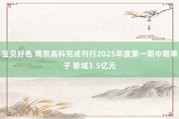 宝贝好色 南京高科完成刊行2025年度第一期中期单子 畛域3.5亿元