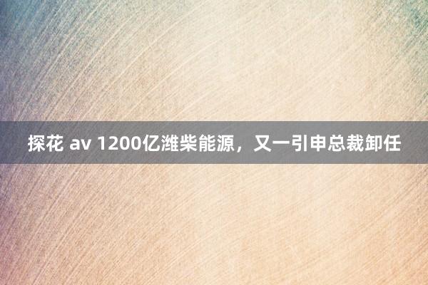 探花 av 1200亿潍柴能源，又一引申总裁卸任