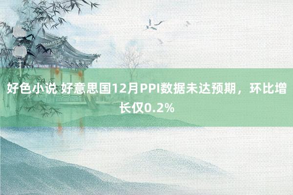 好色小说 好意思国12月PPI数据未达预期，环比增长仅0.2%