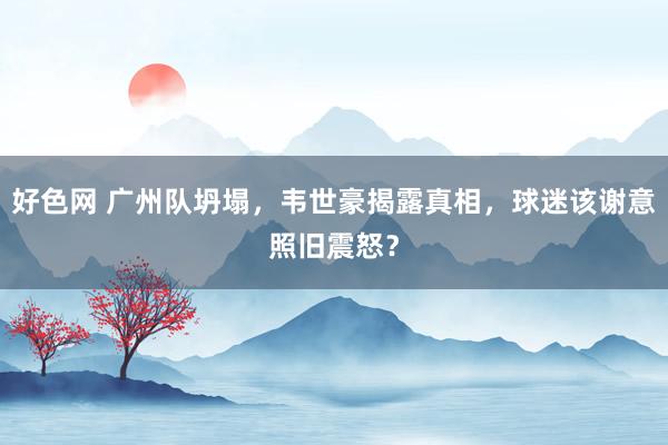 好色网 广州队坍塌，韦世豪揭露真相，球迷该谢意照旧震怒？