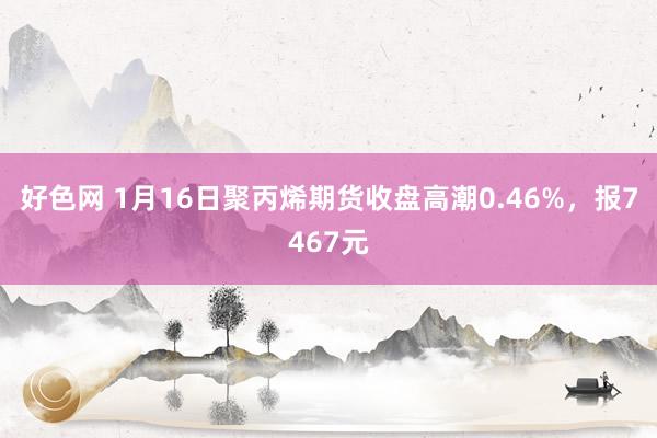 好色网 1月16日聚丙烯期货收盘高潮0.46%，报7467元